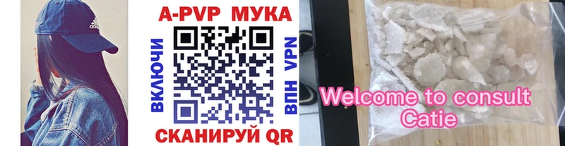 OMG вход  Волгоград  A-PVP СК 