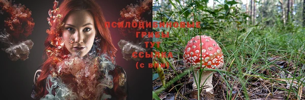 ГАЛЛЮЦИНОГЕННЫЕ ГРИБЫ Абаза