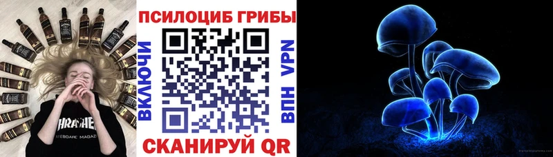 Псилоцибиновые грибы мицелий  Волгоград 