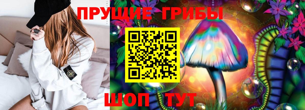 Галлюциногенные грибы GOLDEN TEACHER Волгоград