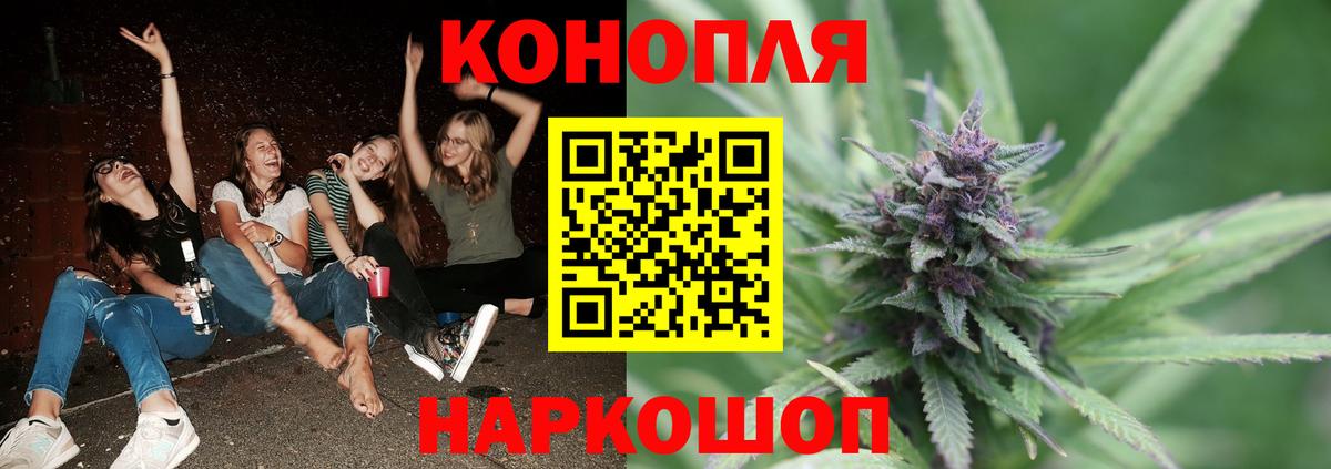 Бошки Шишки семена  Канабис гибрид  МАРИХУАНА Bruce Banner  Волгоград  Вход с VPN 